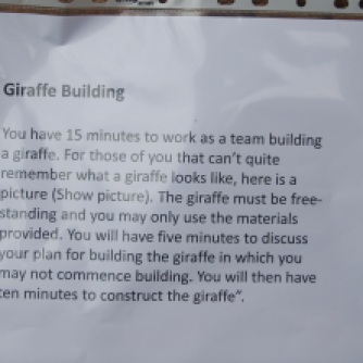 How to build a giraffe!